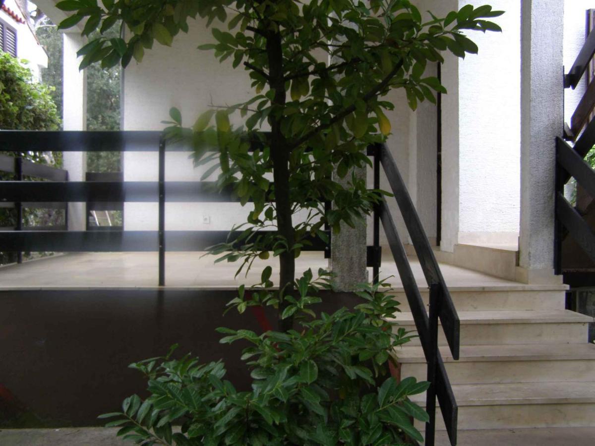 Apartment In Petrcane/Zadar Riviera 7866 Экстерьер фото